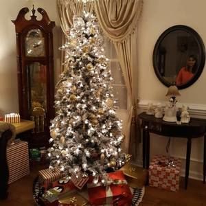 Meet your Posher, Daniela